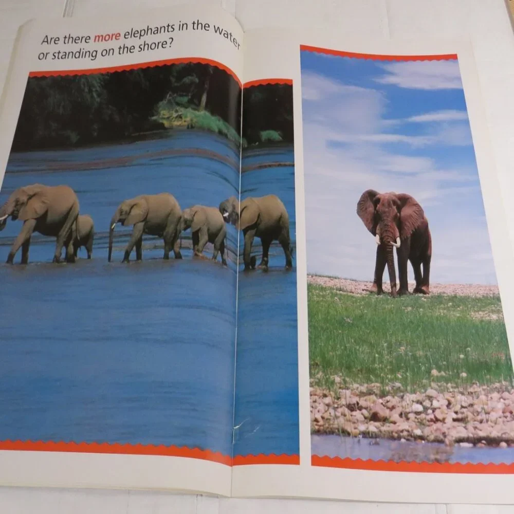 More OR Less BIG BOOK (almost 2 feet tall) with teacher pages CLASSROOM SIZE